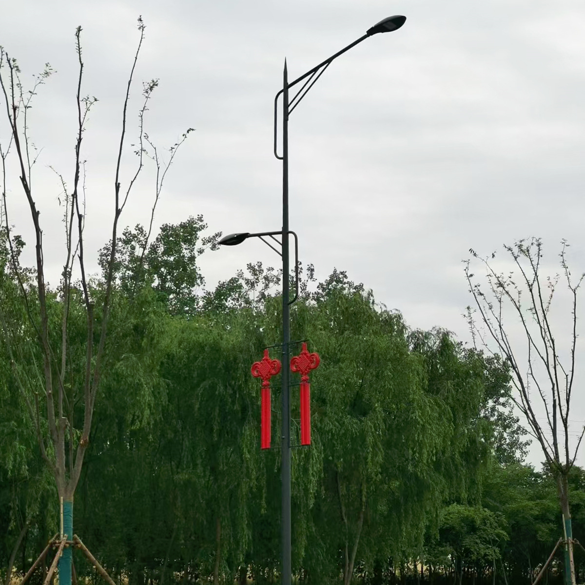 LED street lamp manufacturer wholesale 6-meter municipal street lamps, new rural waterproof lamps, ethnic style LED municipal street lamps details Picture