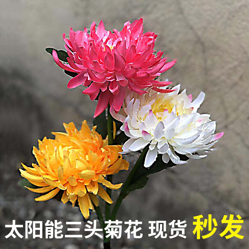 Cross-border new outdoor ground plug lawn courtyard light, garden decoration sensor landscape light, LED solar chrysanthemum light details Picture