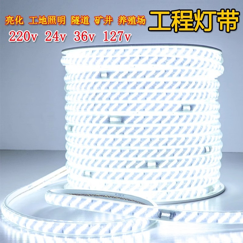 LED light strip low-voltage 24V, 36V, 110V, 127V, 220, outdoor waterproof, basement, tunnel, aquaculture light strip strip for engineering details Picture