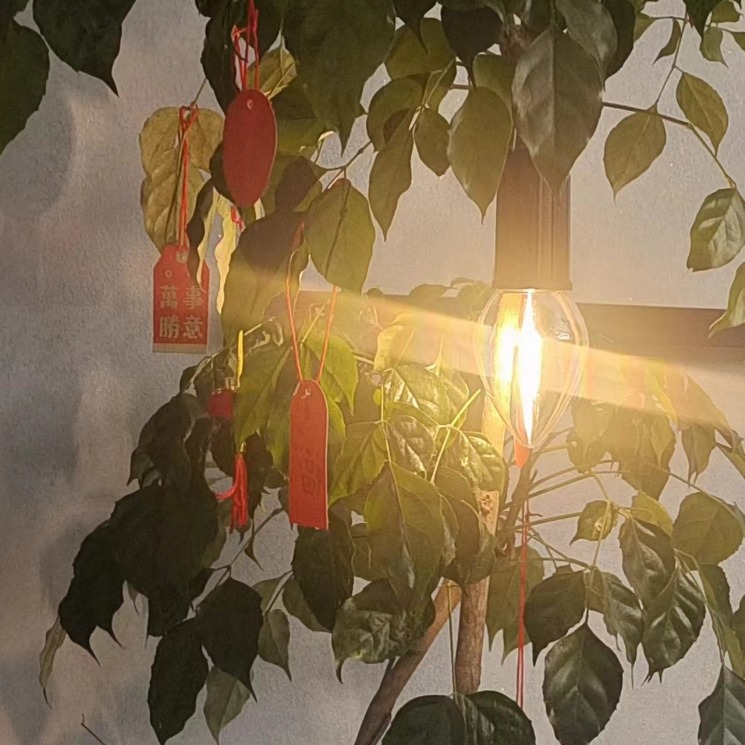Cross-border multi-functional tungsten filament bulb lamp, outdoor camping tent lamp, ambient lamp, USB charging, retro LED bulb Specification drawing