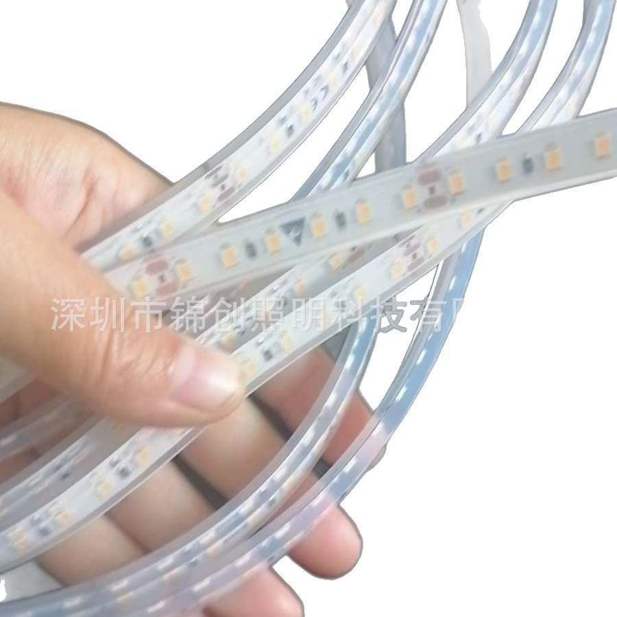 LED flexible light strips, decorative lights, outdoor atmosphere lights, outdoor color-changing silicone neon light strips with transparent lines Item Picture