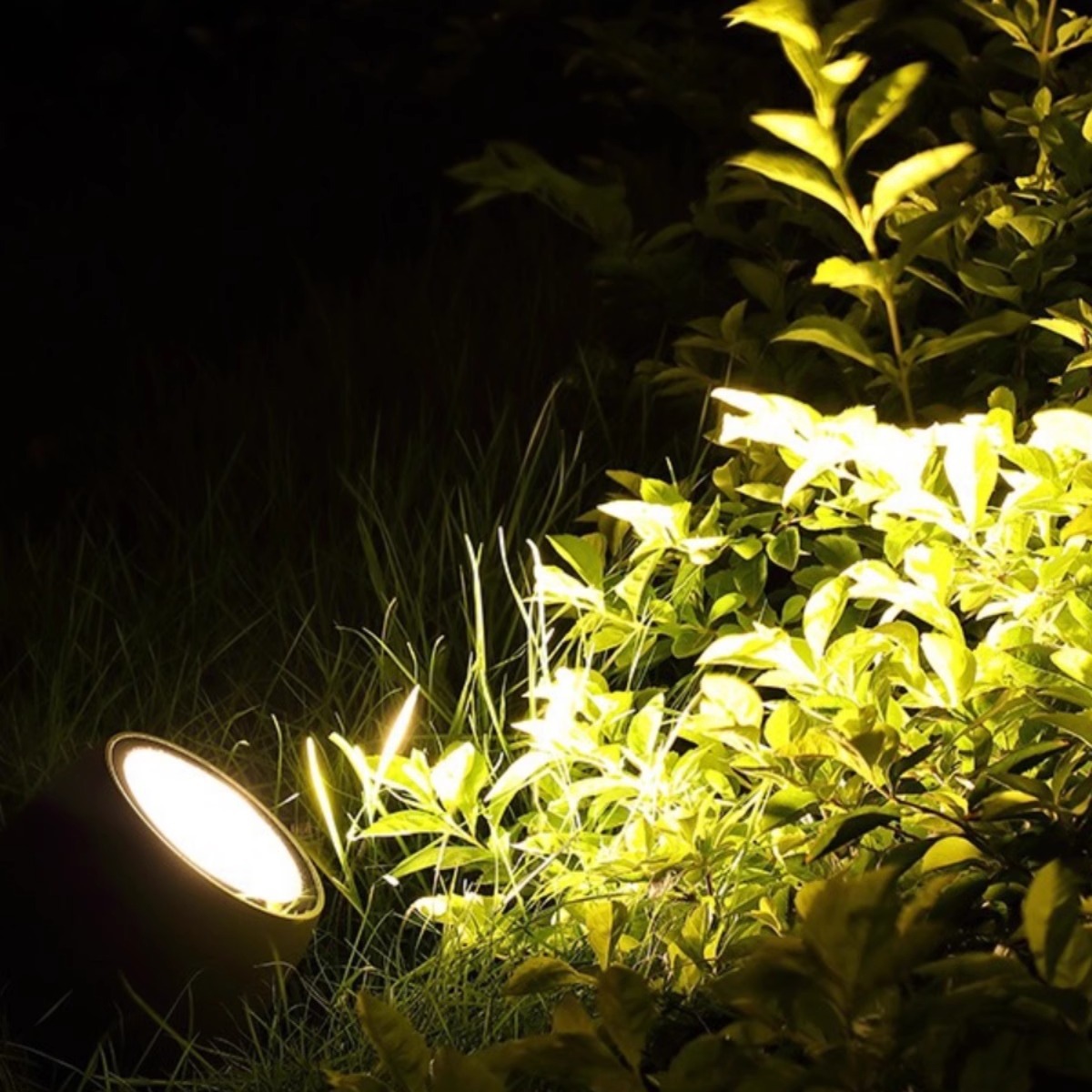 Tree projection lights, outdoor waterproof tree lighting lights, ground insertion lights, floodlights, 24V outdoor garden and courtyard landscape lights, floodlights Specification drawing