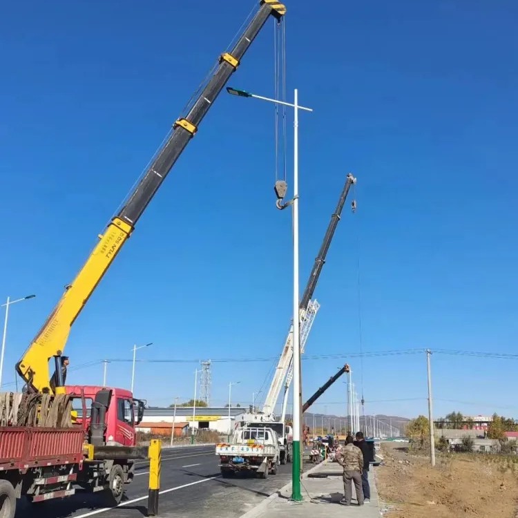 Solar street lamp manufacturer's 6-meter and 8-meter new rural solar street lamp head solar panel repair Application Scenario