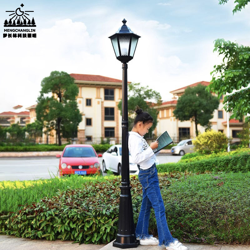 Hexagonal garden lamps with flower edges, European single-head garden lamps, 3-meter street lamps for villas, gardens and parks, and rural household street lamps Specification drawing