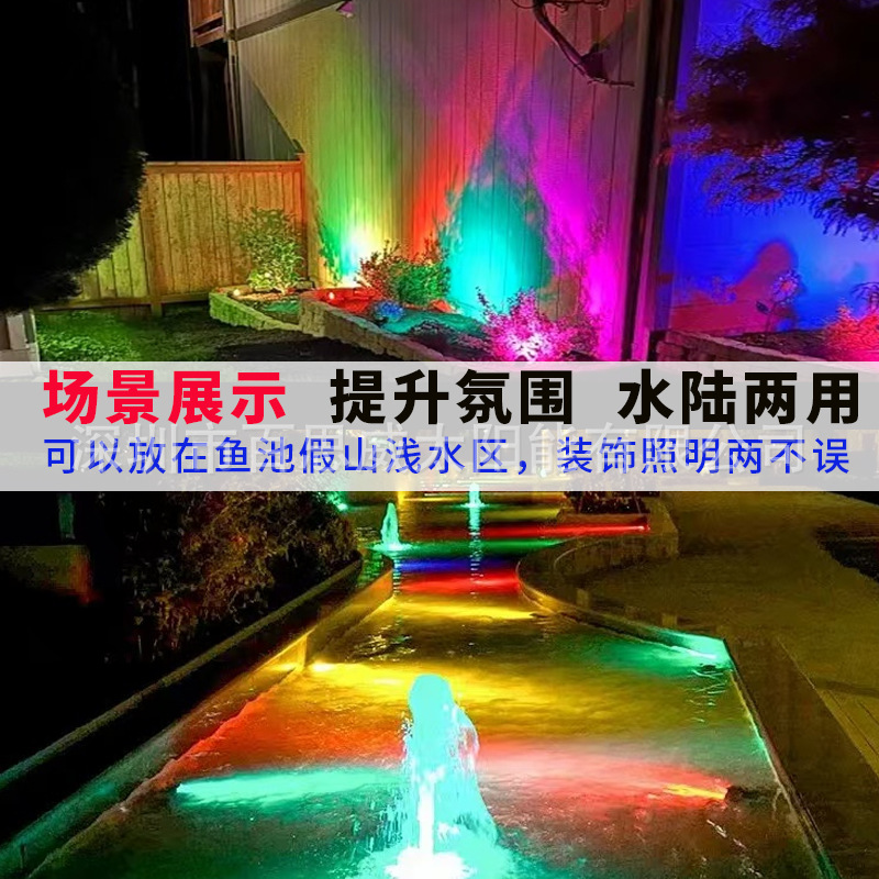 Cross-border new plug-in underwater light decorative light, water and land dual-purpose swimming pool light, outdoor courtyard rockery LED underwater light details Picture