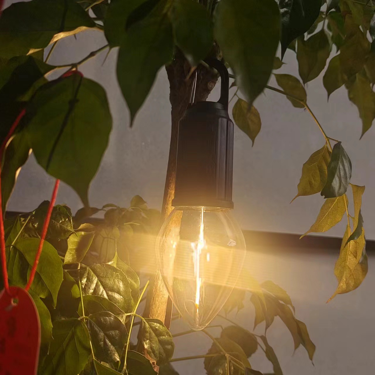 Cross-border multi-functional tungsten filament bulb lamp, outdoor camping tent lamp, ambient lamp, USB charging, retro LED bulb Application Scenario