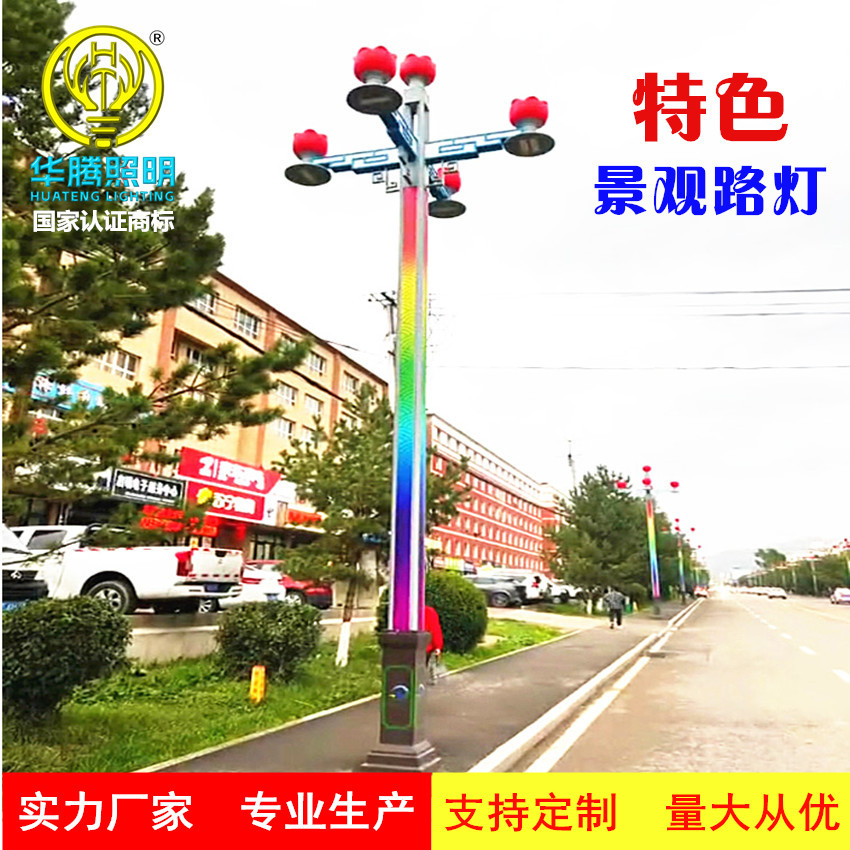 Customized snow pear-shaped street lamps, LED scenic area landscape lamps, outdoor street characteristic street lamps, municipal road high-pole lamps details Picture