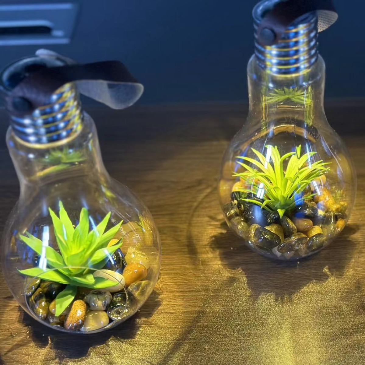 Factory wholesale indoor and outdoor decorative lights, green plant decorations, succulent decorations, ornaments, chandeliers, blow-molded lights Specification drawing