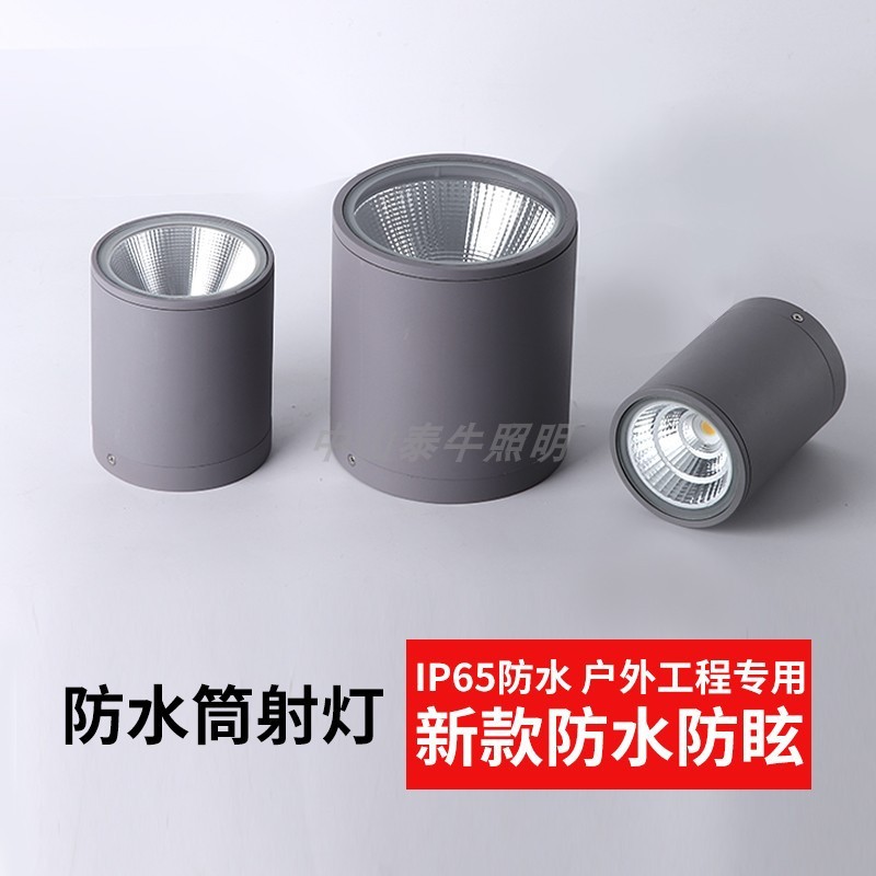 Exposed waterproof LED downlights, ceiling-mounted canopies, balconies, perlis, hotel bathrooms, square and round COB recessed downlights details Picture