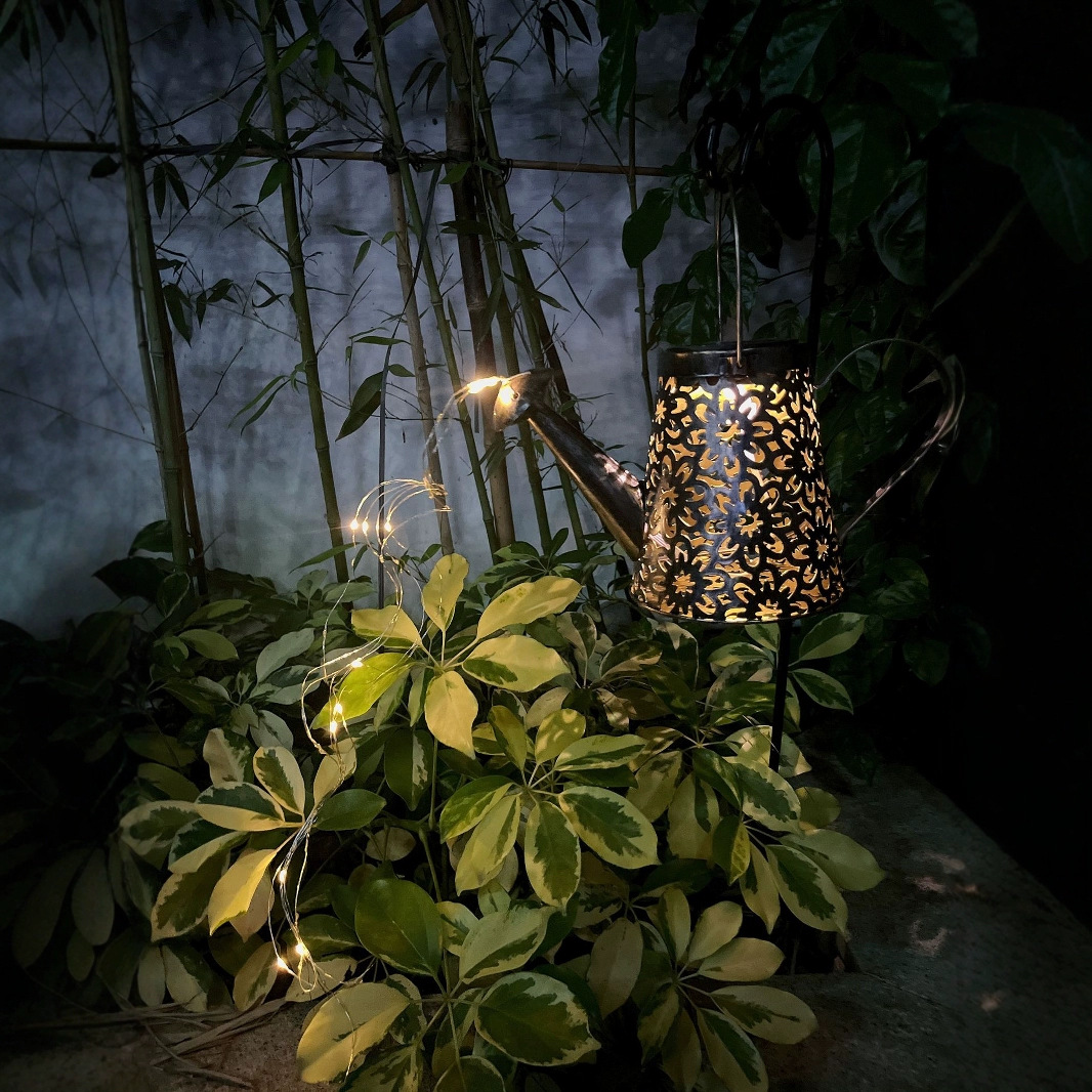 Cross-border solar garden lights, creative iron water bottles, shower heads, floor socket lights, outdoor garden landscape decorative copper wire lights Specification drawing