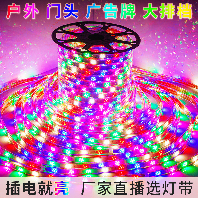 String lights, led light strips, outdoor running horse light strips, living room colorful color-changing light strips, wire light strips, colored lights, 220v details Picture