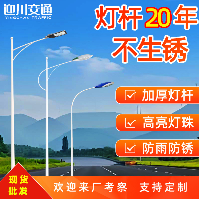 Single-arm street lamps, 6-meter and 8-meter municipal street lamps, road lighting lamps for highways and new rural roads, waterproof single-arm street lamp poles full figure