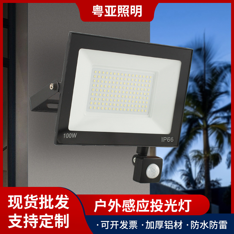 Human body sensor floodlights 10W, 50W, 150W Apple model light-controlled sensor outdoor courtyard waterproof led floodlights full figure