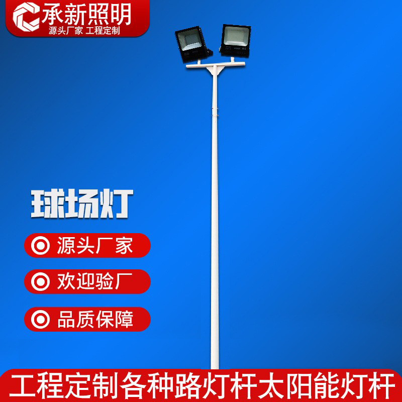 Double-headed high-pole court lights, 6-meter and 8-meter pole basketball court, badminton square, street, community and parking lot medium pole lights full figure