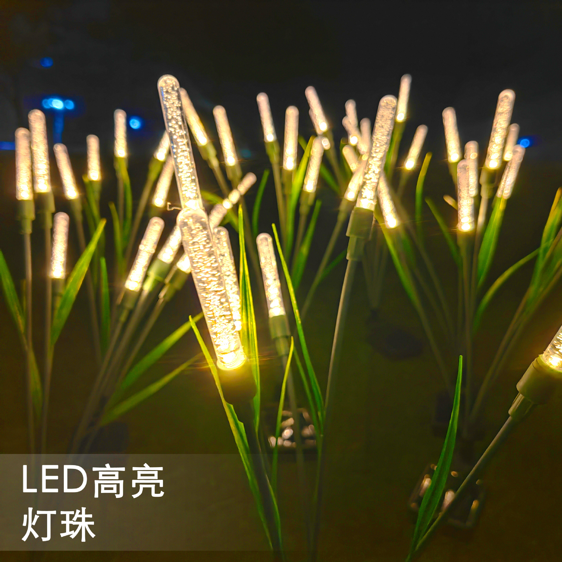 Outdoor lights, solar lights, courtyard decorative atmosphere lights, villa garden lights, ground plug-in landscape lights, waterproof lawn lights details Picture