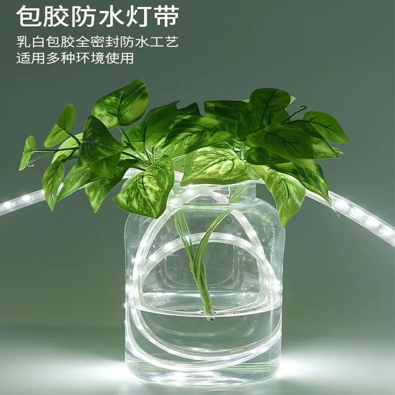 led light strips: low-voltage 24V, 36V, high-brightness 2835, double-row outdoor engineering waterproof tunnel, mine tunnel, tower crane ambient light Application Scenario