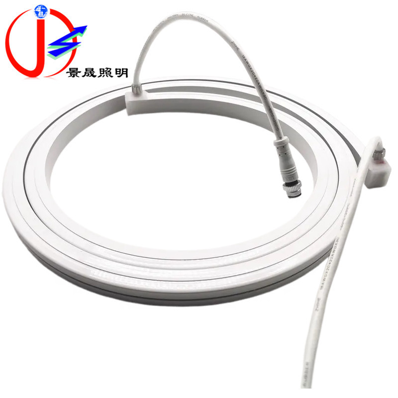 Outdoor waterproof LED flexible light strip 24V iridescent RGB programmable 1616LED silicone neon light strip DMX512 Item Picture