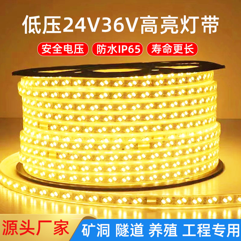 led light strips: low-voltage 24V, 36V, high-brightness 2835, double-row outdoor engineering waterproof tunnel, mine tunnel, tower crane ambient light full figure
