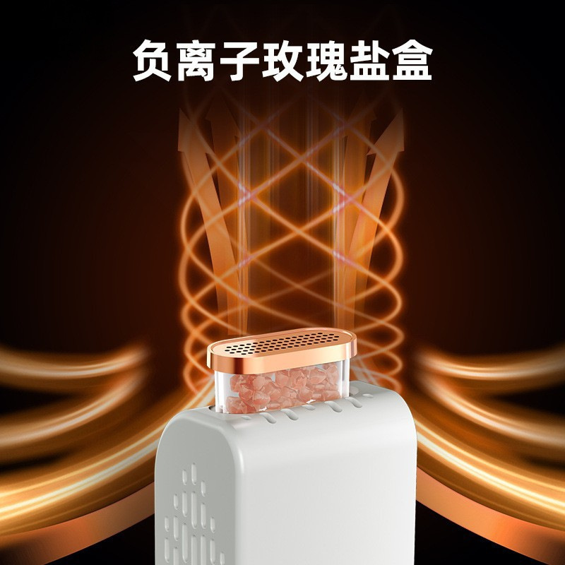 Yangzi Shoe Dryer, a portable shoe dryer, is a folding, timed, and blue light deodorizing and drying wonder for shoes details Picture