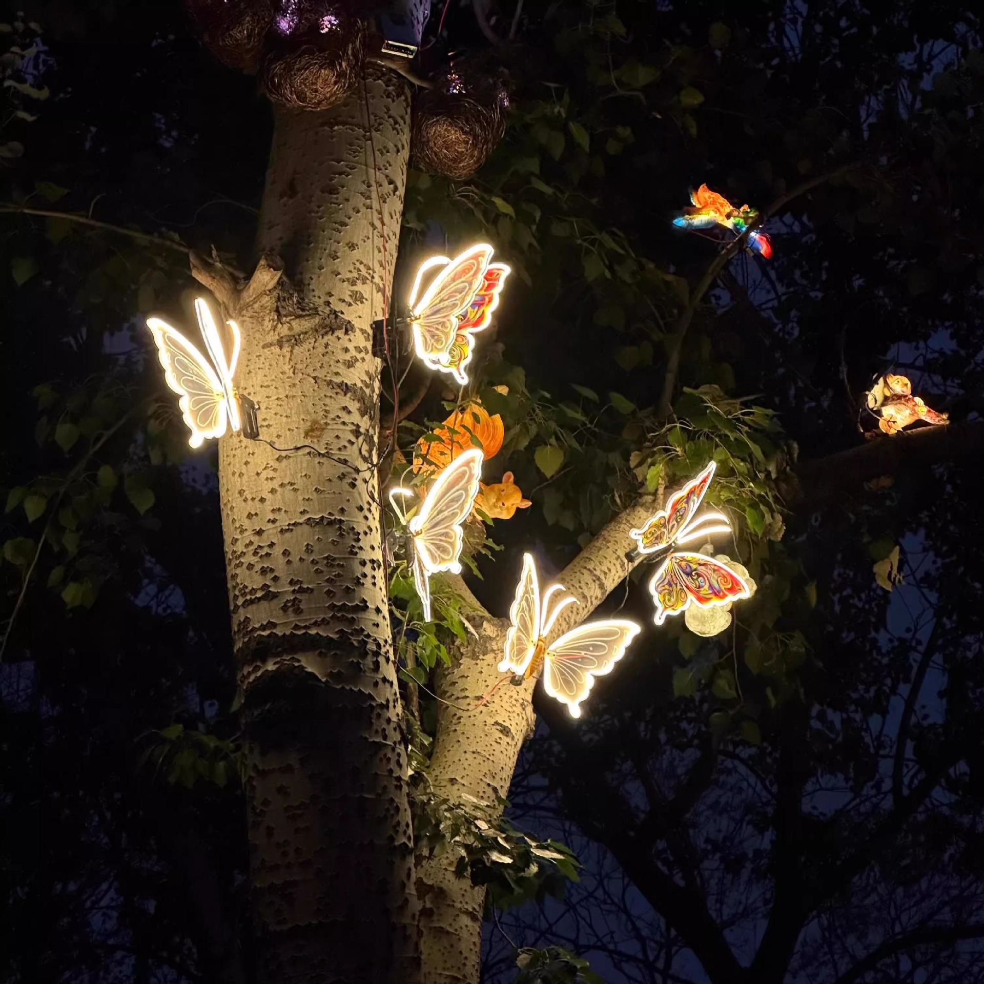 led dynamic butterfly light, outdoor waterproof insect landscape light, courtyard ground insert light, simulated butterfly decorative light Specification drawing