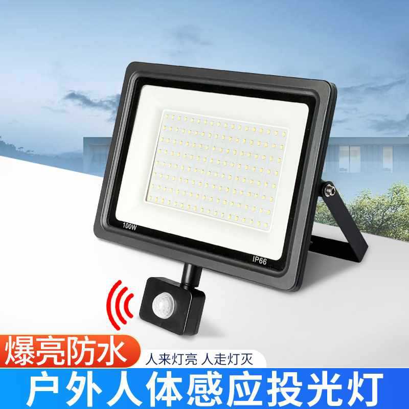✅ human body sensor light turns on as soon as people arrive 220v outdoor waterproof spotlight led floodlight wired garden lighting lamp full figure