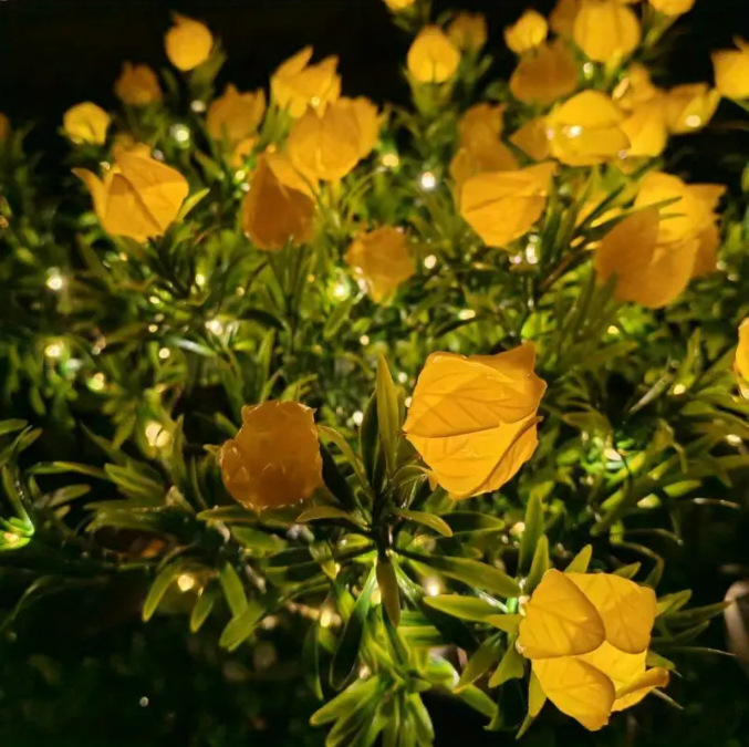 Solar-powered gardenia flower simulation lanterns, LED courtyard garden decoration, lawn lantern grass, outdoor waterproof atmosphere lights details Picture