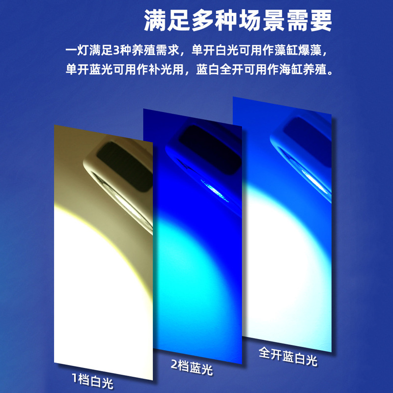 New Apollo All-purpose Lamp LED Seawater Algae Tank lamp, supplementary light, seawater tank lamp, coral lamp, grass tank clamp lamp, explosive algae lamp details Picture