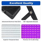 Amazon UV lamp, Purple light 395UV curing lamp, outdoor waterproof party stage black light, floodlight Application Scenario