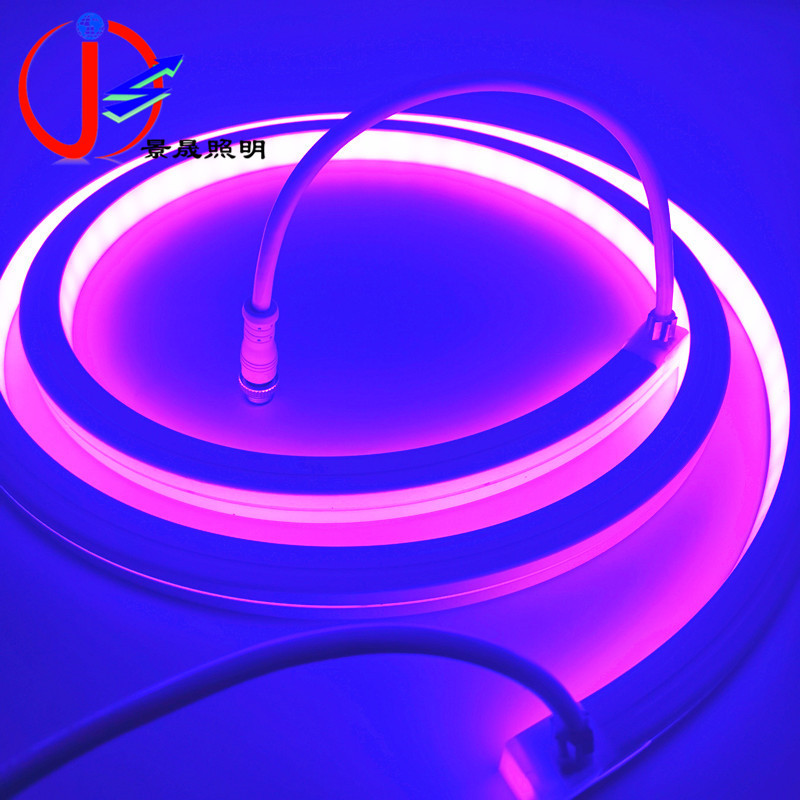 Outdoor waterproof LED flexible light strip 24V iridescent RGB programmable 1616LED silicone neon light strip DMX512 details Picture
