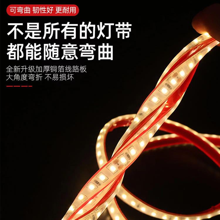 LED light strip low-voltage 24V solid silicone IP68 outdoor waterproof integrated soft light strip landscape water pool lighting project details Picture
