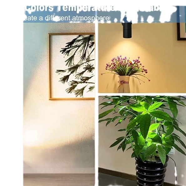 3w tree light, indoor wall light, US standard plug, 1.8-meter with foot-operated switch wire, garden light, three-color small spotlight Item Picture