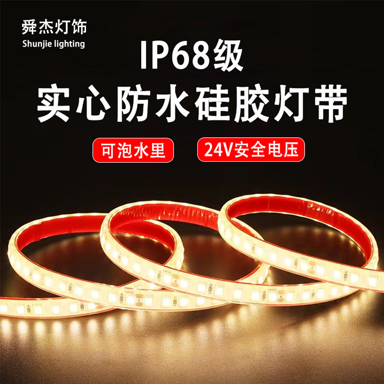 LED light strip low-voltage 24V solid silicone IP68 outdoor waterproof integrated soft light strip landscape water pool lighting project full figure