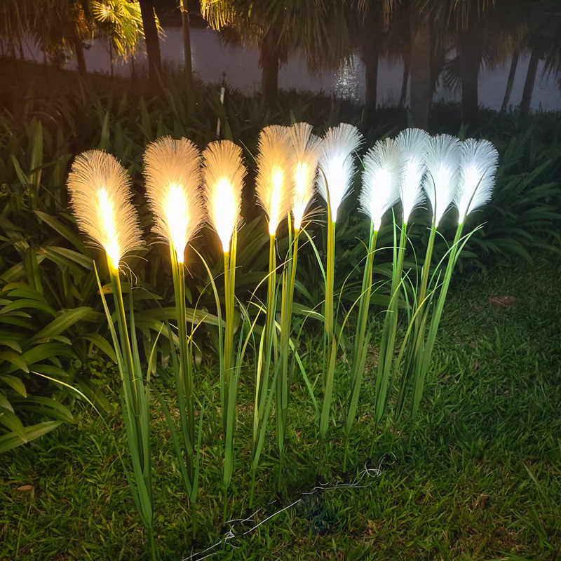 Fiber optic reed lamps, outdoor solar led waterproof lawn lamps, landscape lamps, courtyard and garden decorative lamps, and reed lamps details Picture