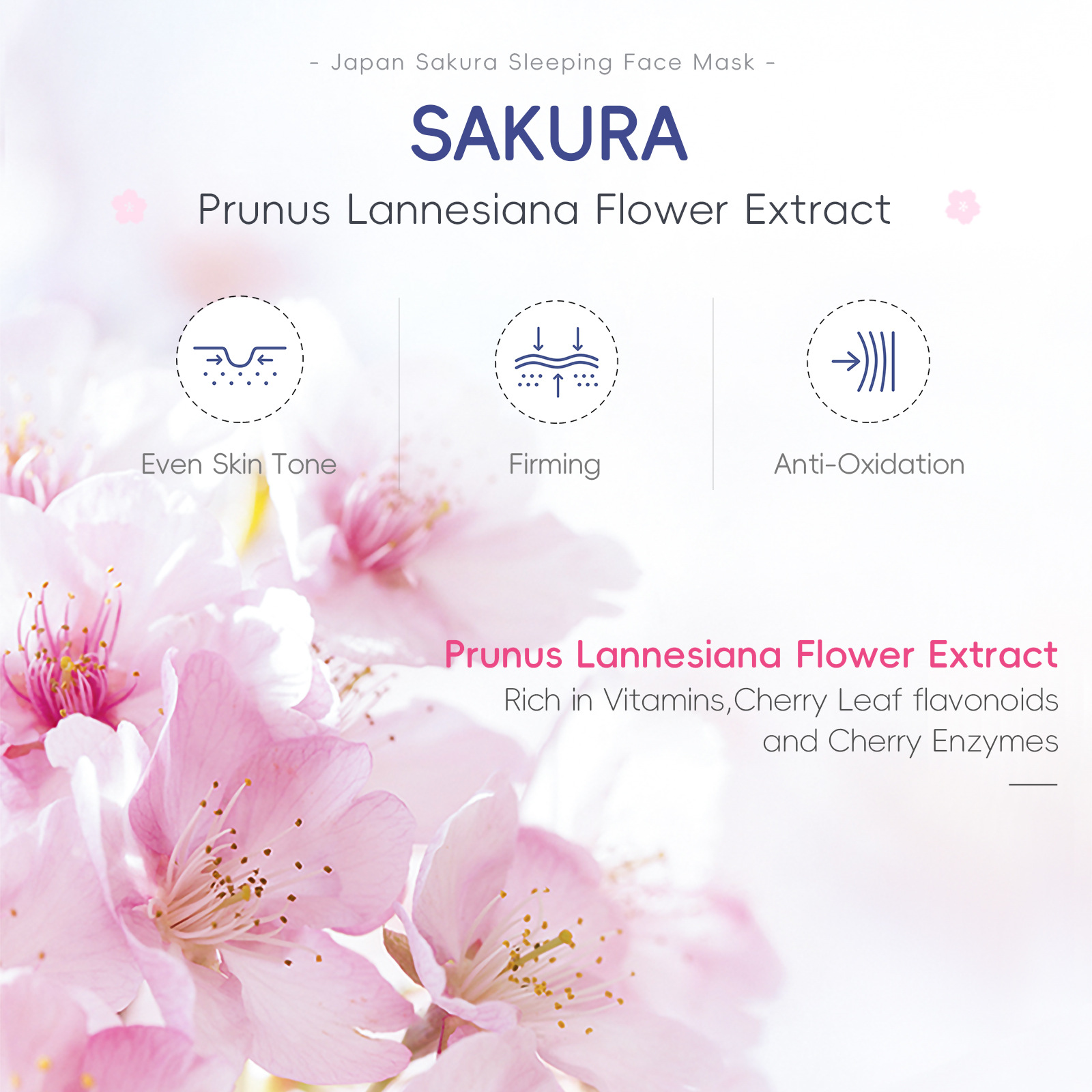 Cross-border Laicome Sakura Sleeping Mask Bag 3gx15 pieces leave-in Mask Hydrating and Moisturizing English export Mask Specification drawing