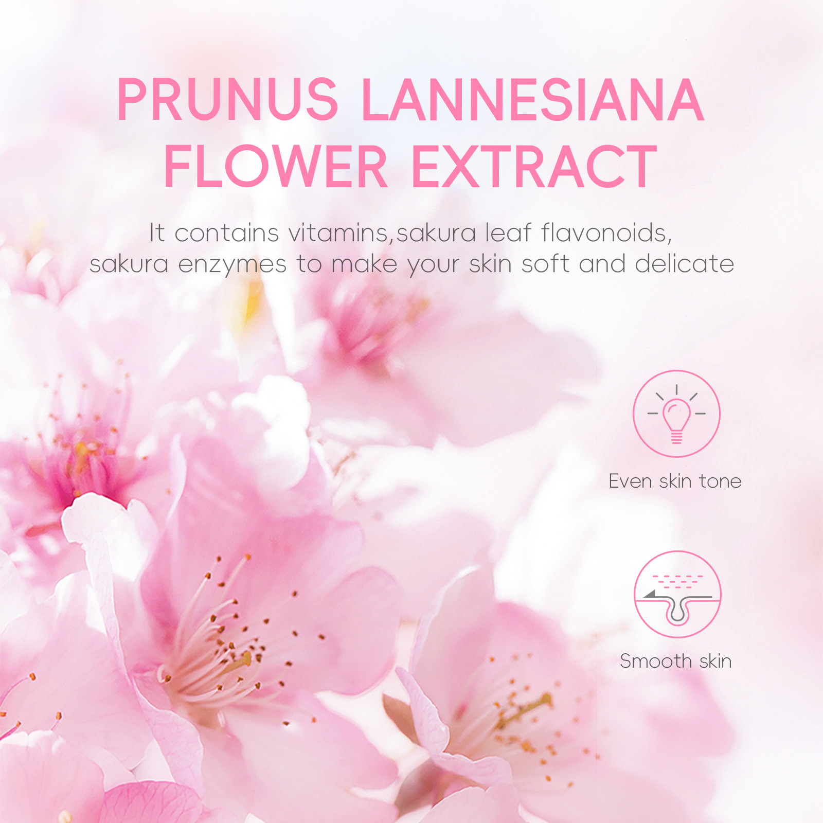 Cross-border Cherry Blossom Facial Cleansing Exfoliating Gel Hydrates, moisturizes and rejuvenates the face and body, exfoliating gel Specification drawing