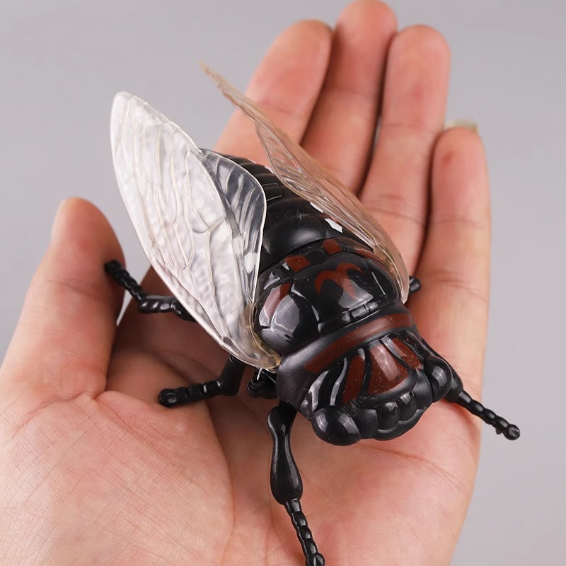 Wholesale of cross-border children's beetle simulation wind-up toys, creative pranks, crawling and winding rhinoceros beetle insect models Specification drawing