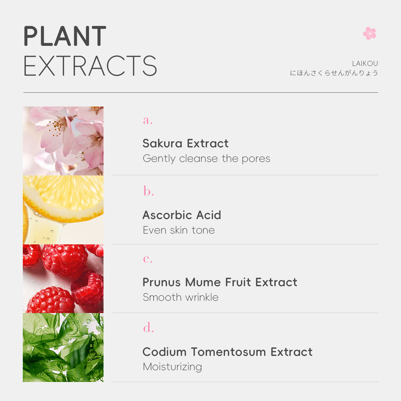 Cross-border new Laicome Japanese Sakura Facial Cleanser 150g hydrating and moisturizing skin care product, facial cleansing manufacturer wholesale Application Scenario