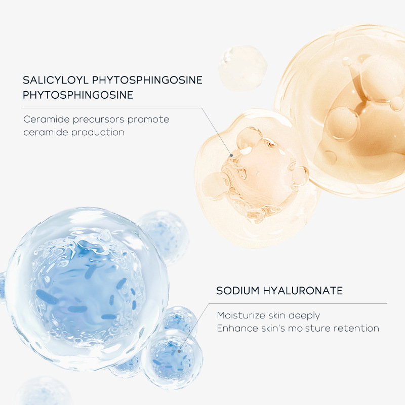 Cross-border LAIKOU Ceramide Facial Cleanser 100g Hydrating and Moisturizing Cleansing Cross-border Export Facial Cleanser details Picture