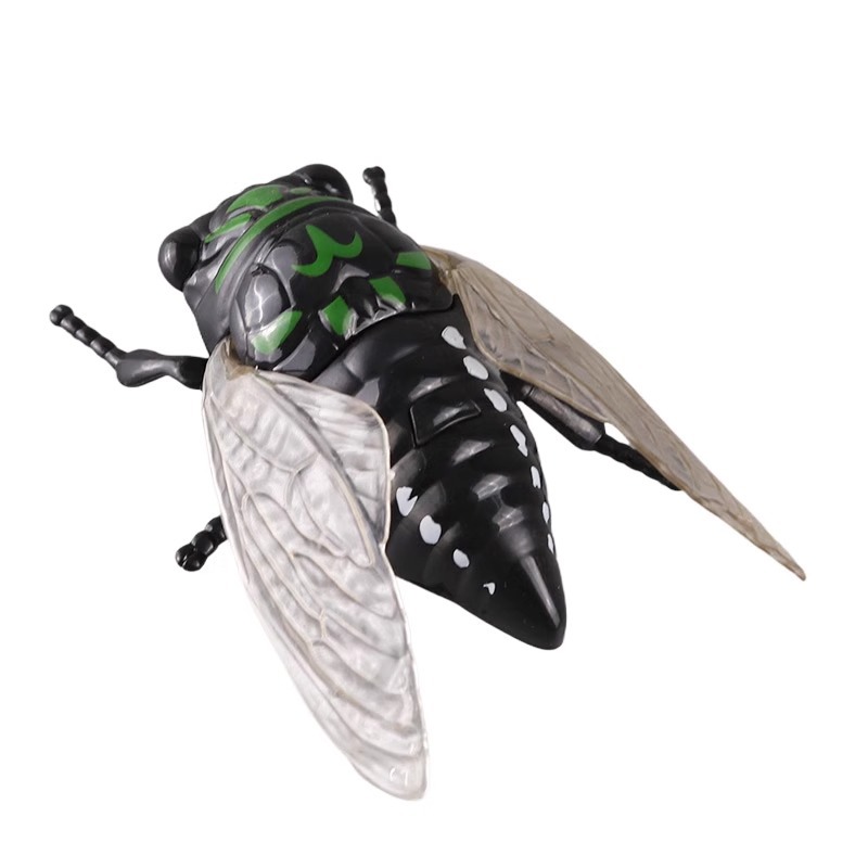 Wholesale of cross-border children's beetle simulation wind-up toys, creative pranks, crawling and winding rhinoceros beetle insect models Item Picture