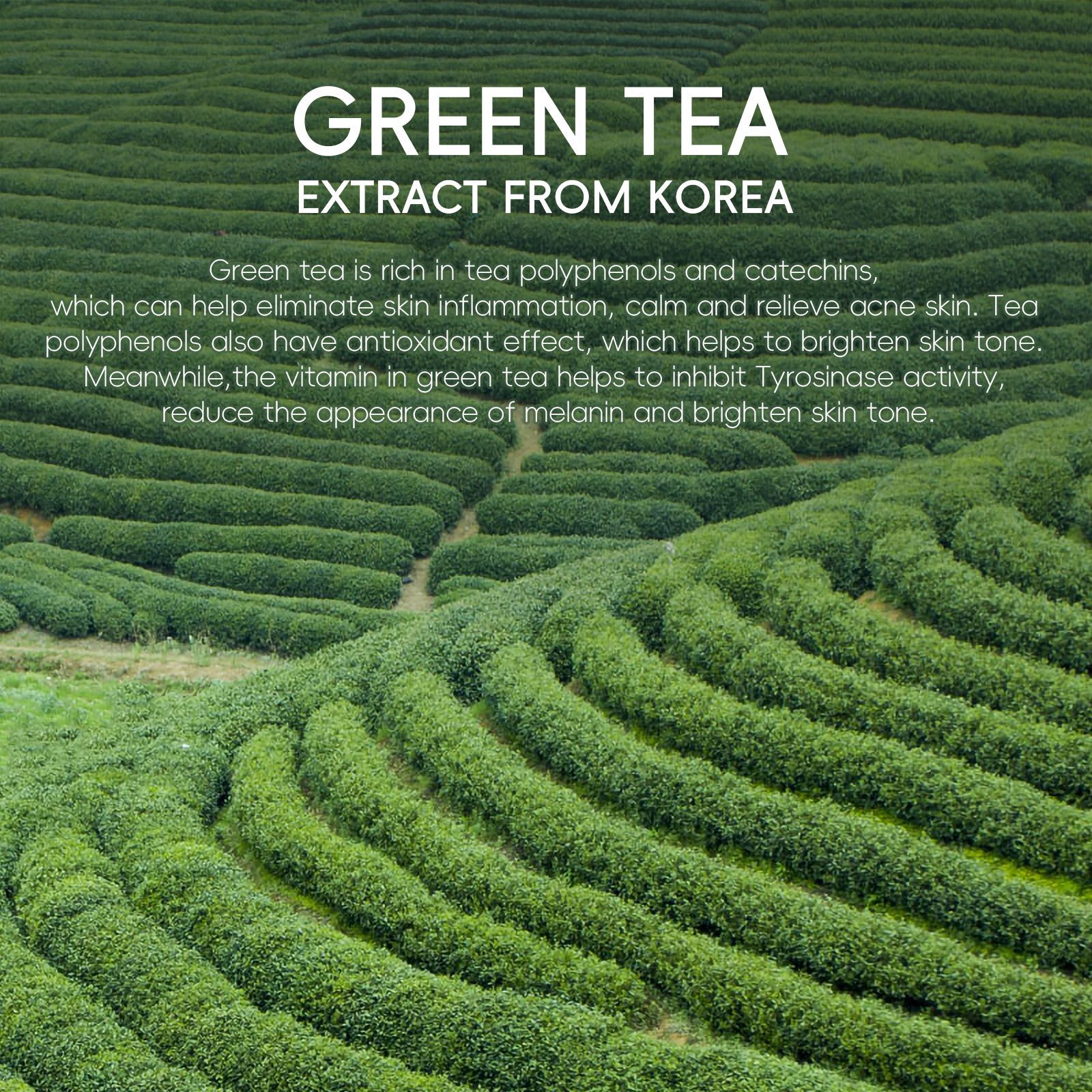 FENYI Green Tea Essence Cream 40g Hydrating, Moisturizing and Nourishing Skin Care Product Cross-border supply English packaging Application Scenario