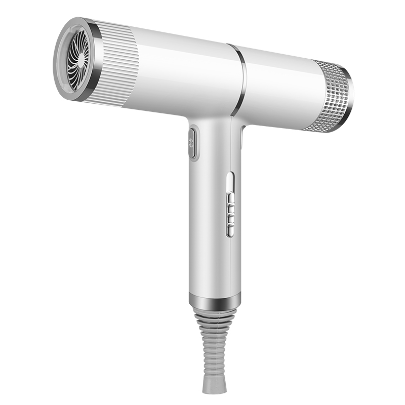 Cross-Border New Concept Hair Dryer, 1600W High Wind Power, European And American Standard T-Shaped Hair Dryer, Quick Hair Drying, Salon Home, Export Hair Dryer Application Scenario