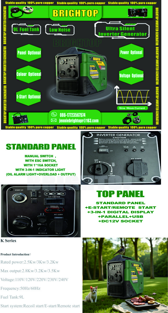 230V 3/3.5KW GASOLINE SILENT INVERTER GENERATOR WITH E-START详情1
