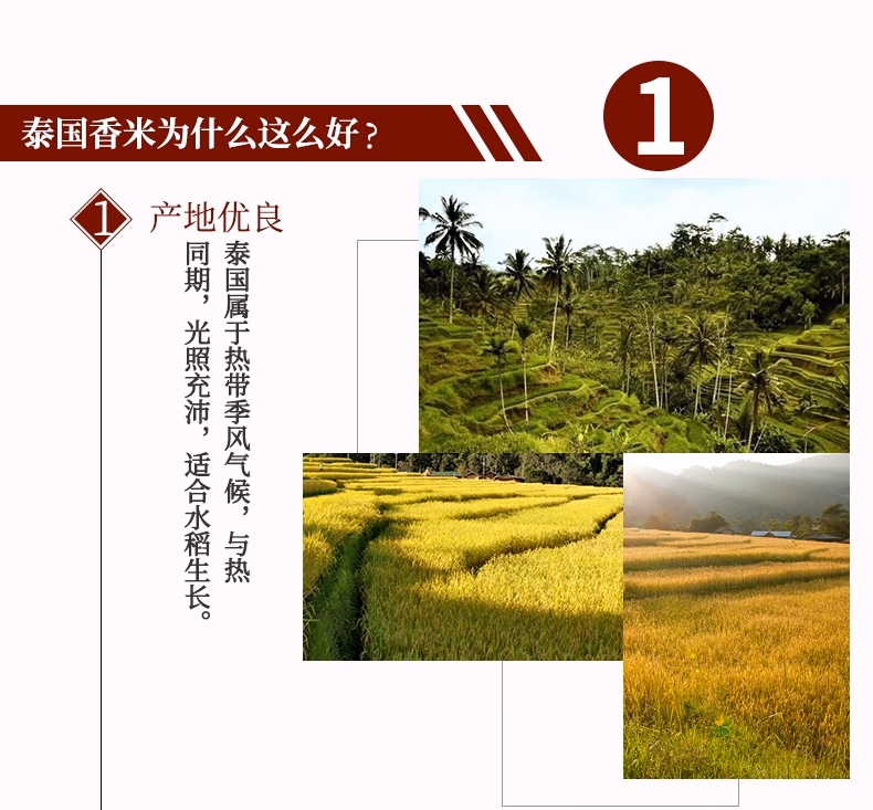 Free shipping! Thai imported Jinyi Thai Jasmine Rice 2kg AMBROSOIL imported snacks and grains pic 6