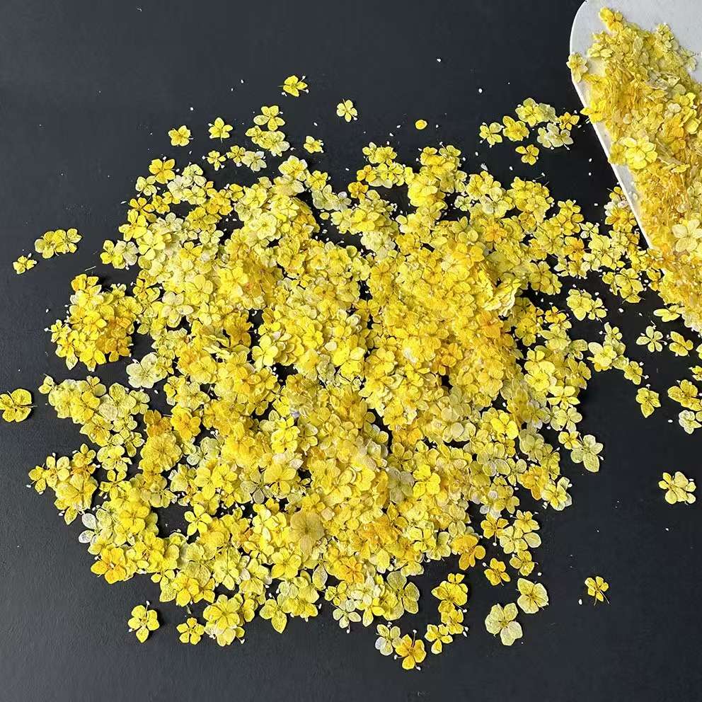 Dried flowers, preserved flowers, pressed flowers, embossed flowers, jade beads, resin, nail art, diy handicrafts, jewelry design, jewelry pendants, branch cards, scented candles, photo frames, handicrafts, Christmas and Easter accessories, asters, rose petals detail image 5