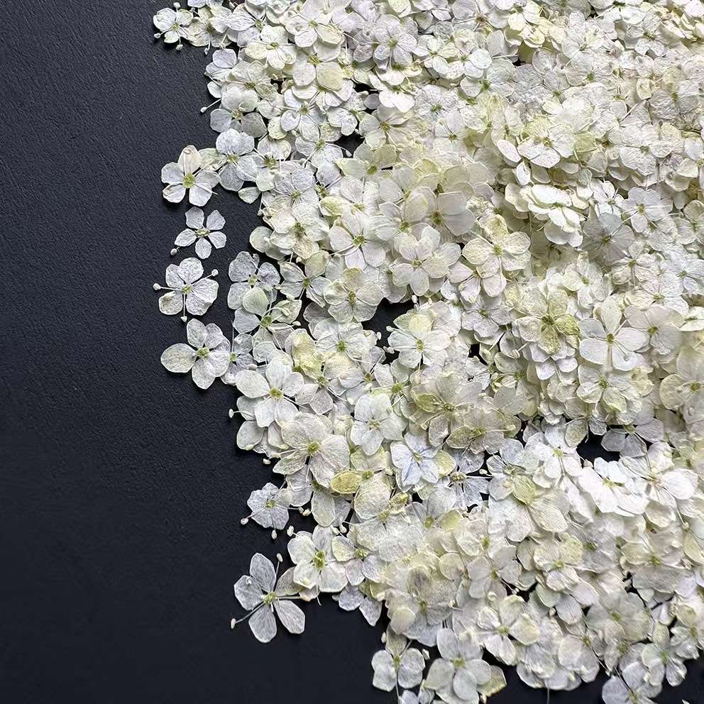 Dried flowers, preserved flowers, pressed flowers, embossed flowers, jade beads, resin, nail art, diy handicrafts, jewelry design, jewelry pendants, branch cards, scented candles, photo frames, handicrafts, Christmas and Easter accessories, asters, rose petals detail image 6