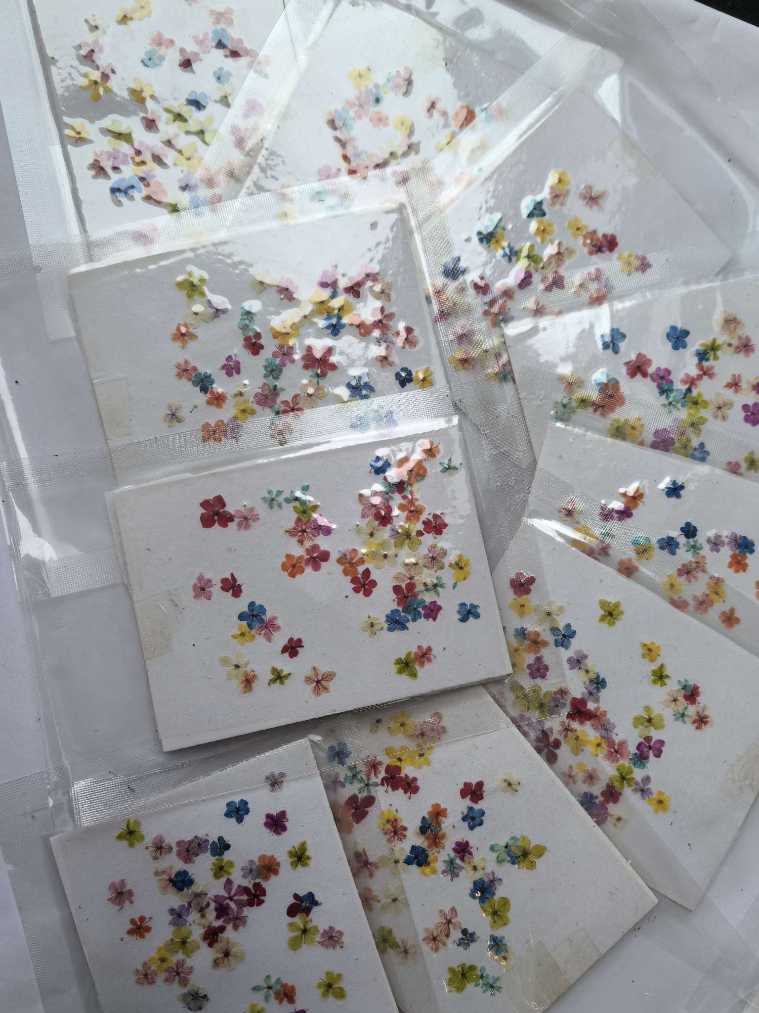 Dried flowers, preserved flowers, pressed flowers, embossed flowers, jade beads, resin, nail art, diy handicrafts, jewelry design, jewelry pendants, branch cards, scented candles, photo frames, handicrafts, Christmas and Easter accessories, asters, rose petals Specification image