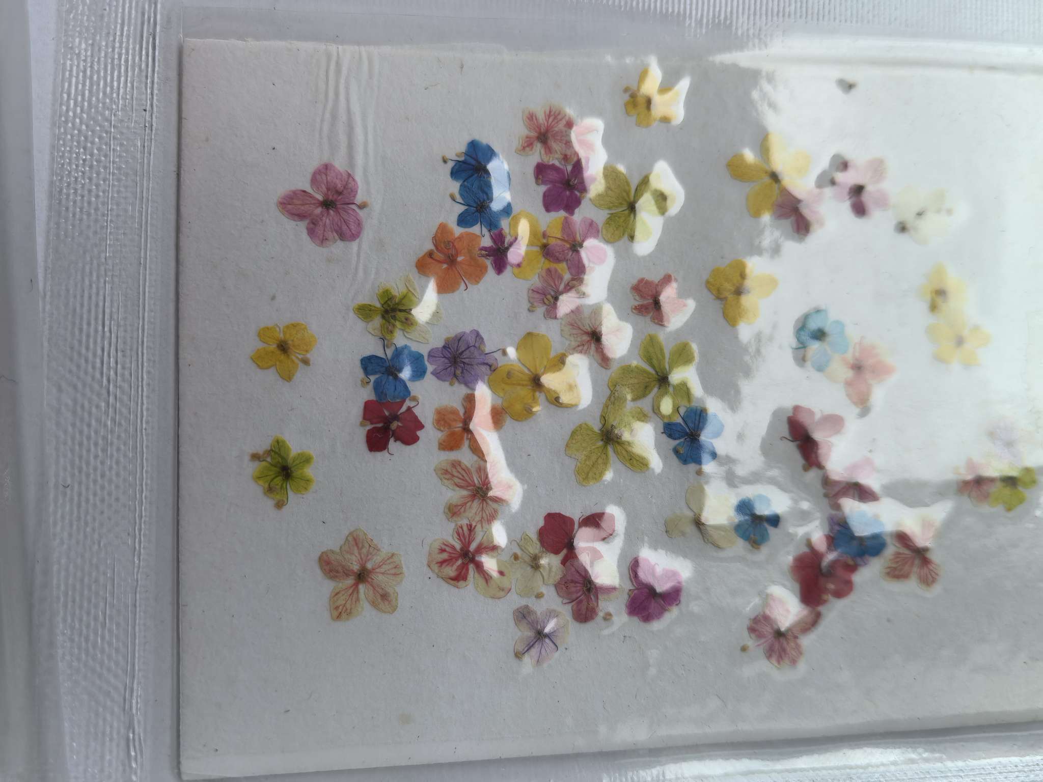 Dried flowers, preserved flowers, pressed flowers, embossed flowers, jade beads, resin, nail art, diy handicrafts, jewelry design, jewelry pendants, branch cards, scented candles, photo frames, handicrafts, Christmas and Easter accessories, asters, rose petals