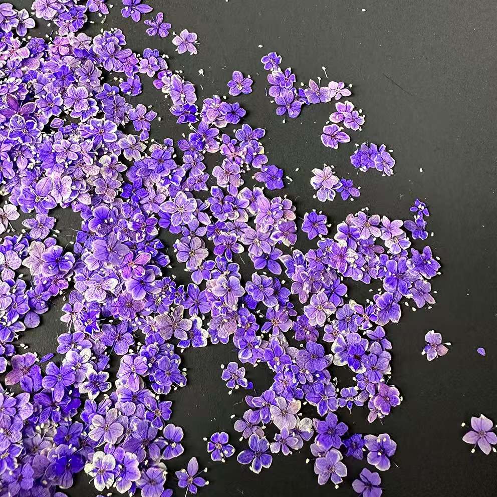 Dried flowers, preserved flowers, pressed flowers, embossed flowers, jade beads, resin, nail art, diy handicrafts, jewelry design, jewelry pendants, branch cards, scented candles, photo frames, handicrafts, Christmas and Easter accessories, asters, rose petals detail image 4