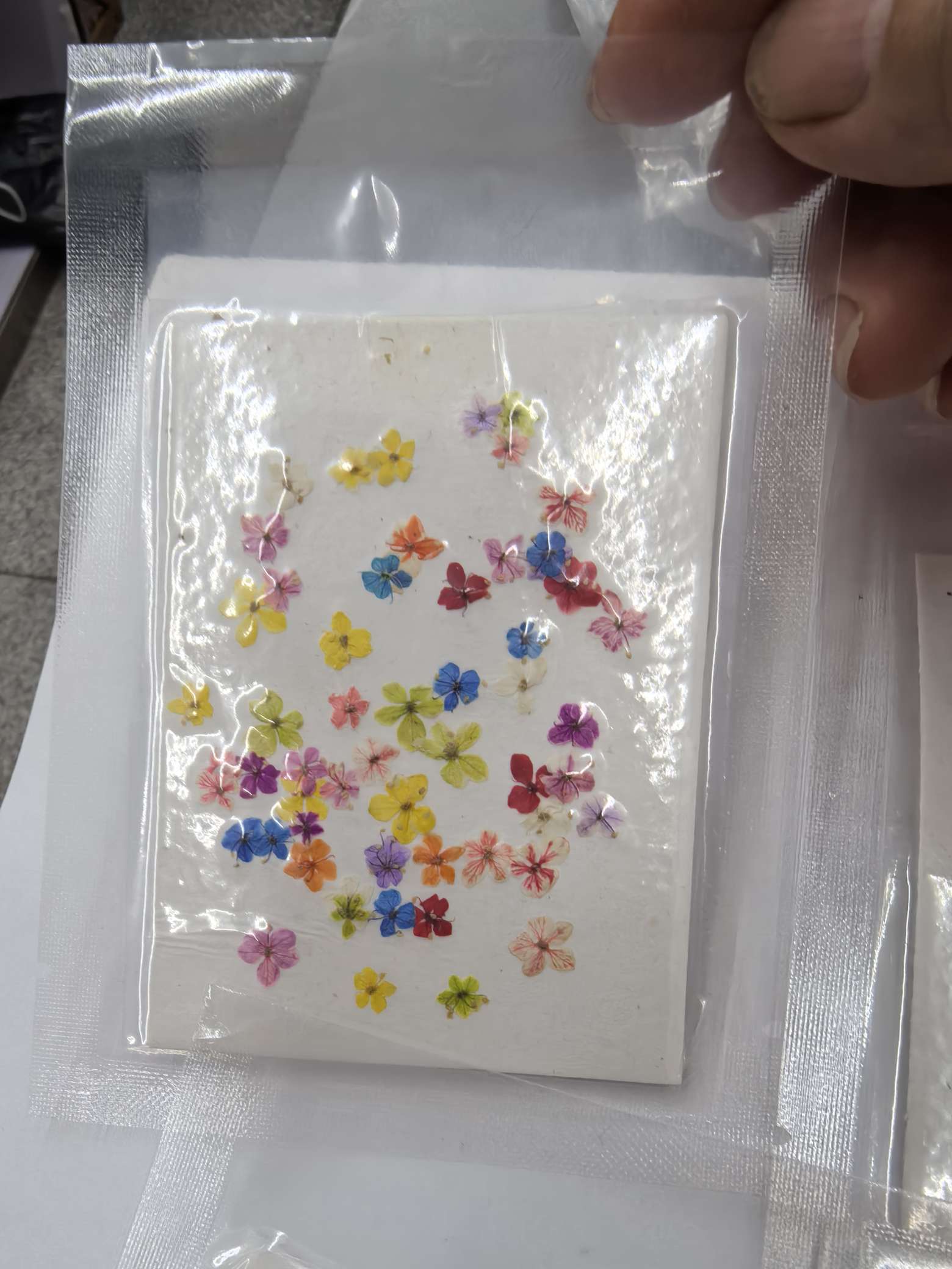 Dried flowers, preserved flowers, pressed flowers, embossed flowers, jade beads, resin, nail art, diy handicrafts, jewelry design, jewelry pendants, branch cards, scented candles, photo frames, handicrafts, Christmas and Easter accessories, asters, rose petals details Picture