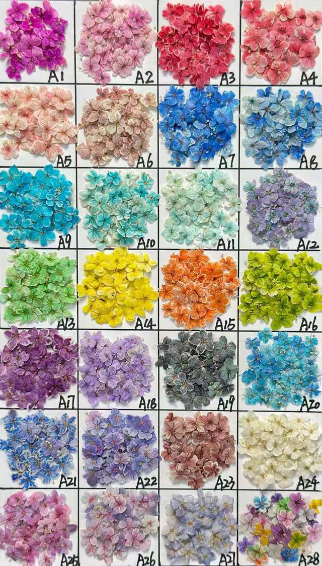Dried flowers, preserved flowers, pressed flowers, embossed flowers, jade beads, resin, nail art, diy handicrafts, jewelry design, jewelry pendants, branch cards, scented candles, photo frames, handicrafts, Christmas and Easter accessories, asters, rose petals Item Picture